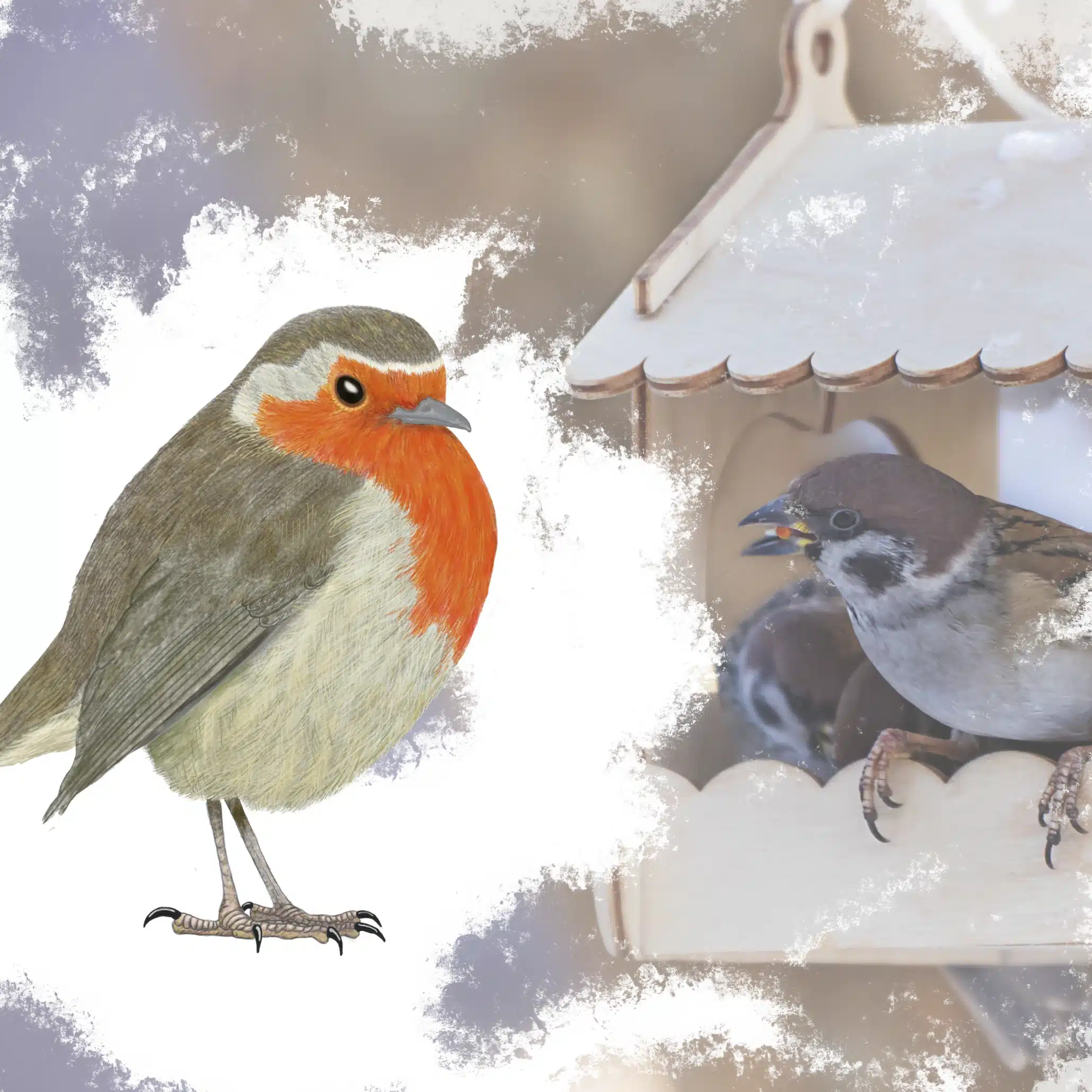 curso de ilustración científica sobre aves y creación de comederos y cajas nidos para aves