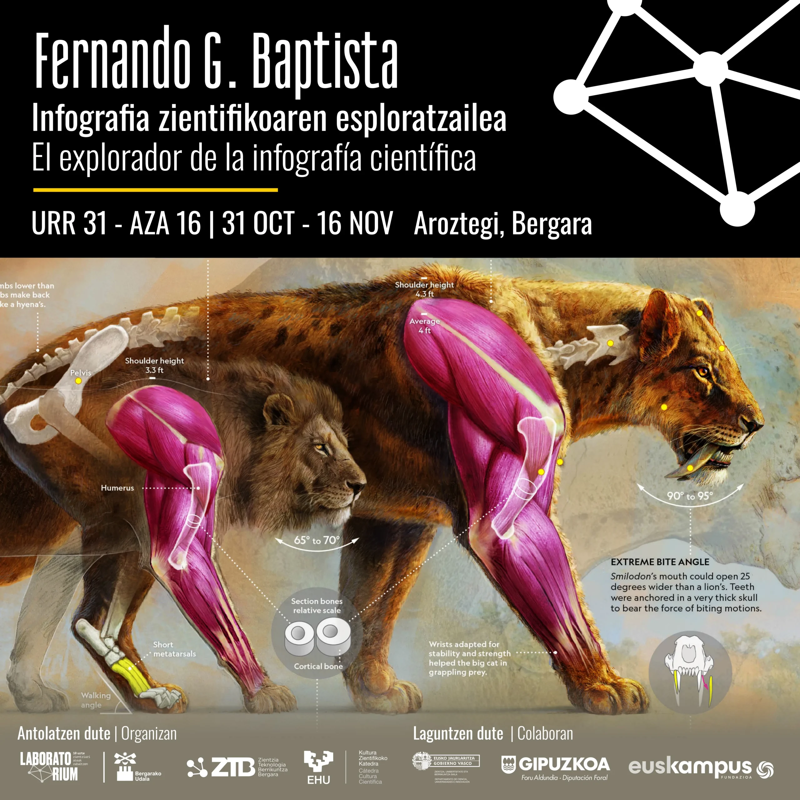 EXHIBITION: Fernando G. Baptista – The Explorer of Scientific Infographics